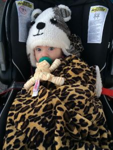 runwildPhoebebundled